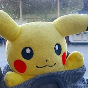 Pikachu Plushie